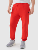 Spodnie dresowe joggery męskie 4F 4FWMM00TTROM1139-62S