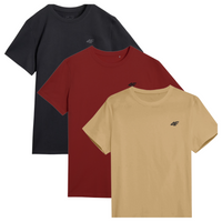 T-shirt męski (ZESTAW KOSZULEK 3 SZT.) 4F 4FWSS25TTSHM3965-92S