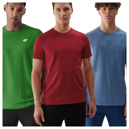 T-shirt męski (ZESTAW KOSZULEK 3 SZT.) 4F 4FWSS25TTSHM3956-96S