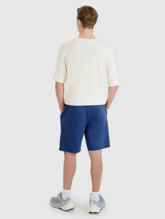 Spodenki męskie dresowe 4F 4FWMM00TSHOM543-031S