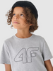 T-shirt z nadrukiem chłopięcy 4F Junior 4FJWMM00TTSHM1627-27M